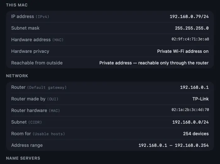 The Address pane, showing the IP address, netmask, gateway, DNS servers and DHCP lease.